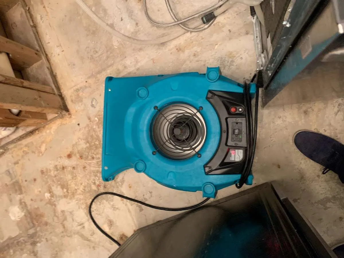 Air mover drying equipment for Mold Remediation & Removal in Fultondale